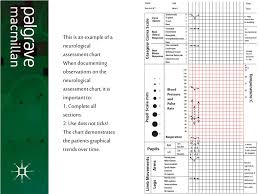 Ppt Neurological Assessment Neurological Assessment