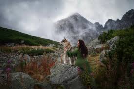 Psom priateľské hrady a zámky na Slovensku: Spoznávajte históriu so svojím štvornohým priateľom