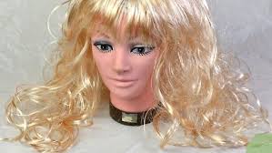 It is important to remember that after the dyeing procedure, the strands will already become completely different than they were. How To Dye A Synthetic Wig 15 Steps With Pictures Wikihow