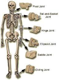 Pin On Fitness