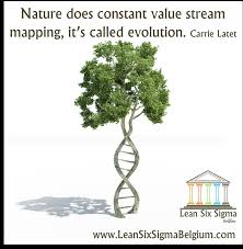 Continuous Improvement Quotes Lean Six Sigma Belgium To exist is to change, to change is to mature, to mature is to go on creating oneself endlessly. —henri bergson. continuous improvement quotes lean