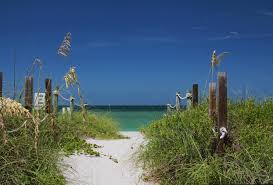 Image result for Sandy Beach 2013 Captiva