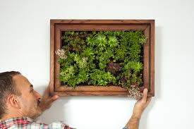 We did not find results for: How To Make A Vertical Garden The Crafty Gentleman