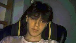 Daniel Angelov, Software developer intern