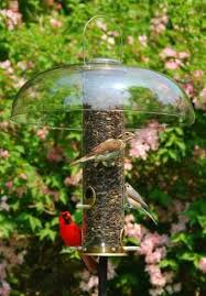 Check spelling or type a new query. Bird Feeder Weather Domes Weather Protection For Hanging Bird Feeders Bird Feeder Weather Rain Domes At Fiddle Creek Farms