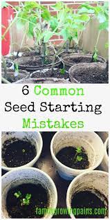 6 Common Seed Starting Mistakes Homesteading Where You Are Seed Starting Starting Seeds Inside Growing Seeds
