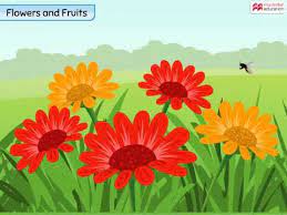 We did not find results for: Bear Flowers And Fruits How To Discuss