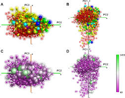 Ed fredkin has been developing the idea since the 60's. Plos Computational Biology A Global Map Of The Protein Shape Universe