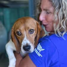 Megan Burroughs's Instagram, Twitter & Facebook