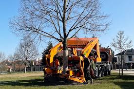 Trees are an important part of our lives. Opitz International Large Tree Transplantation And Tree Care Throughout Europe