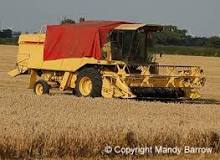 Image result for harvest festival