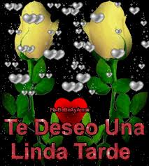 Https Encrypted Tbn0 Gstatic Com Images Q Tbn And9gcr2dzhg2ir1mniwd Djhiprsfflp9r0dmt2tq Usqp Cau