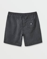 Taxer Canvas Shorts