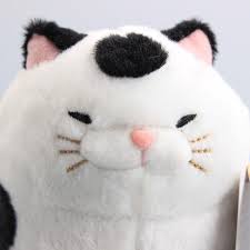 Black And White Cat With Pink Nose Pin On I Can Haz