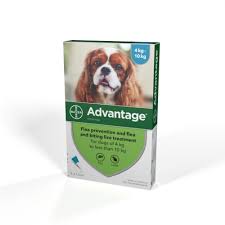 Maybe you would like to learn more about one of these? Advantage 100 Spot On Flea Control Medium Dog