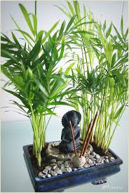 Pin By Tania Andrea On Garden Buddha Garden Zen Garden Japanese Garden