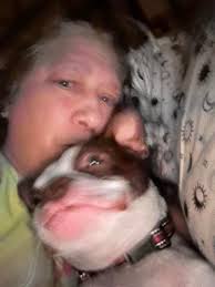 What's your favorite Boston Terrier feature?