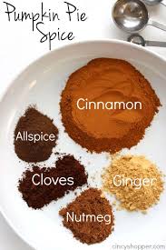 Homemade Pumpkin Pie Spice Recipe Homemade Pumpkin Pie Pumpkin Pie Spice Recipe Spice Mix Recipes