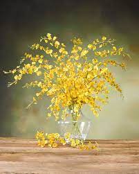 Oncidium Orchid Silk Flower Stem Yellow Oncidium Orchids Yellow Flower Arrangements Silk Flower Arrangements