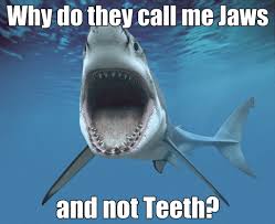 Shark Meme Jaws Sharks Scuba Diving Great White Shark Attack White Sharks Ocean Habitat