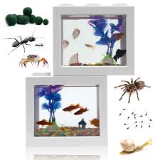 Betta fish club hyderabad, secunderabad. Small Betta Fish Tank Fish Bow Aquarium With Gravel Plants Rocks Feeder Small Fish Tank For Turtle Reptile Jellyfish Goldfish Shrimp Moss Balls Insects Table Decoration Box For Kids Room Office Home Buy Online In Cayman