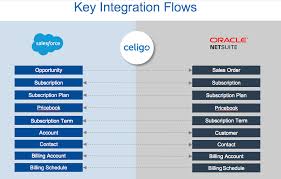 I'm interested in the pros and cons of netsuite crm vs salesforce enterprise. Suiteapp Com