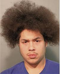 ᐅ Illinois Criminal Records 2009-2025