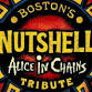 Nutshell - Boston's Alice In Chains Tribute Band