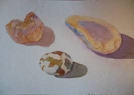 Patricia Everett Photography and Watercolor