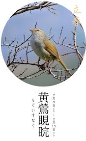 住まいマガジン びお