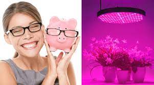 Maybe you would like to learn more about one of these? Best Cheap Grow Light 2021 Reviews