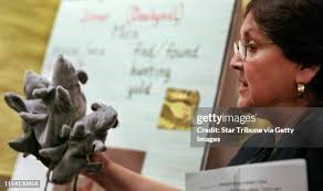 14 African Folk Tale Stock Photos, High-Res Pictures, and Images