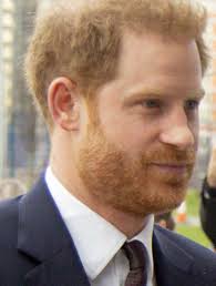 The Journal of Media and Diversity Issue 05 Summer 2023