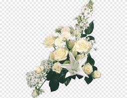 Jutaan file gambar png gratis berkualitas tinggi, psd, ai dan eps tersedia. Taman Mawar Yang Lainnya Merangkai Bunga Putih Png Pngegg