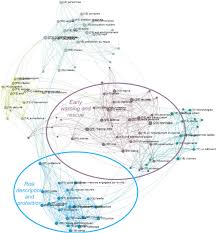 Un autre pic de circulation survient traditionnellement en fin de journée, aux alentours de 18 heures. Climate Resilience In Paris A Network Representation Of Online Strategic Documents Released By Public Authorities Sciencedirect