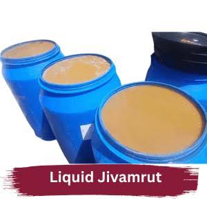Liquid Vermiwash / Jeevamrit