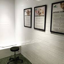 Welcome To Paws Our Pet Spa Is Equipped With Pet Care Instructions A Grooming Table Shower And More By Twenty20apts Fe Pet Care Instructions Pet Spa Pet Care