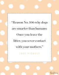 Submitted 7 years ago * by _billmurray. 14 Dog Quotes That Perfectly Sum Up Your Relationship Purewow