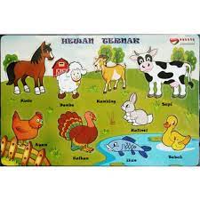 Mereka juga makan ikan, daging ayam dan daging sapi. Contoh Gambar Hewan Peliharaan Kartun Ideku Unik