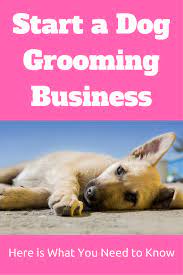 Pin On Grooming