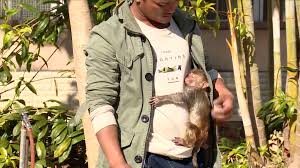 February 2, 2021, 8:20 am. Rescued Baby Macaque Refuses To Leave Its Human Daddy Cgtn
