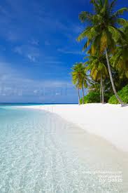 Rewards category 8 points w maldives 'let it glow' theme is inspired by the glow in the dark jellyfish and luminous plankton that. Dreaming Of Maldives Photos Of Maldives Beaches