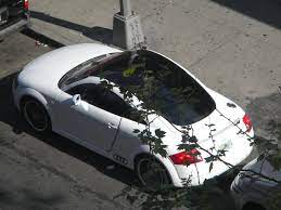 White Audi Tt Gonki