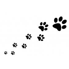 Black And White Paw Print Puppy Clipart Paw Prints Liked On Polyvore Featuring Backgrounds Animals Fillers Cats Effects Borders Phrase Pictu Dog Paw Print Paw Print Clip Art Puppy Paw Prints
