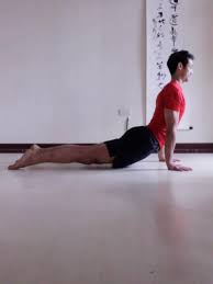 Upward Facing Dog