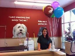 Location at the mall, other nearby locations. Pet Supplies Plus Reviews Glassdoor