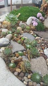 50 unique rock garden ideas for backyard jardin de rocaille idees jardin jardin de roches