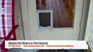 Maybe you would like to learn more about one of these? Hale Pet Door In Glass Installation Youtube