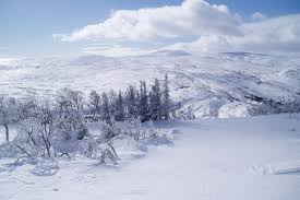 Digiconimist estimates that bitcoin miners will consume over 125 terrawatt hours of power by the the reason for such a cheap electricity cost is due to the fact that canada has been a key proponent in the china was the main spot for some time, but now miners are moving into the nordic countries. Lower Electricity Costs For Mining Farms In Nordic Countries With Wet Weather Season Supercryptonews