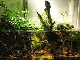 Entering the aquarium, you're greeted by a hanging submersible craft, a video screen showing an aquatic scene and sculptures of tuna. Biotope Made In Vietnam Aquariums Fresh Water Fish Tank Aquarium Aquarium Garden